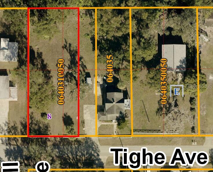 This is an aerial map showing three adjacent residential lots along Tighe Avenue — TIGHE STREET, SEFFNER, FL