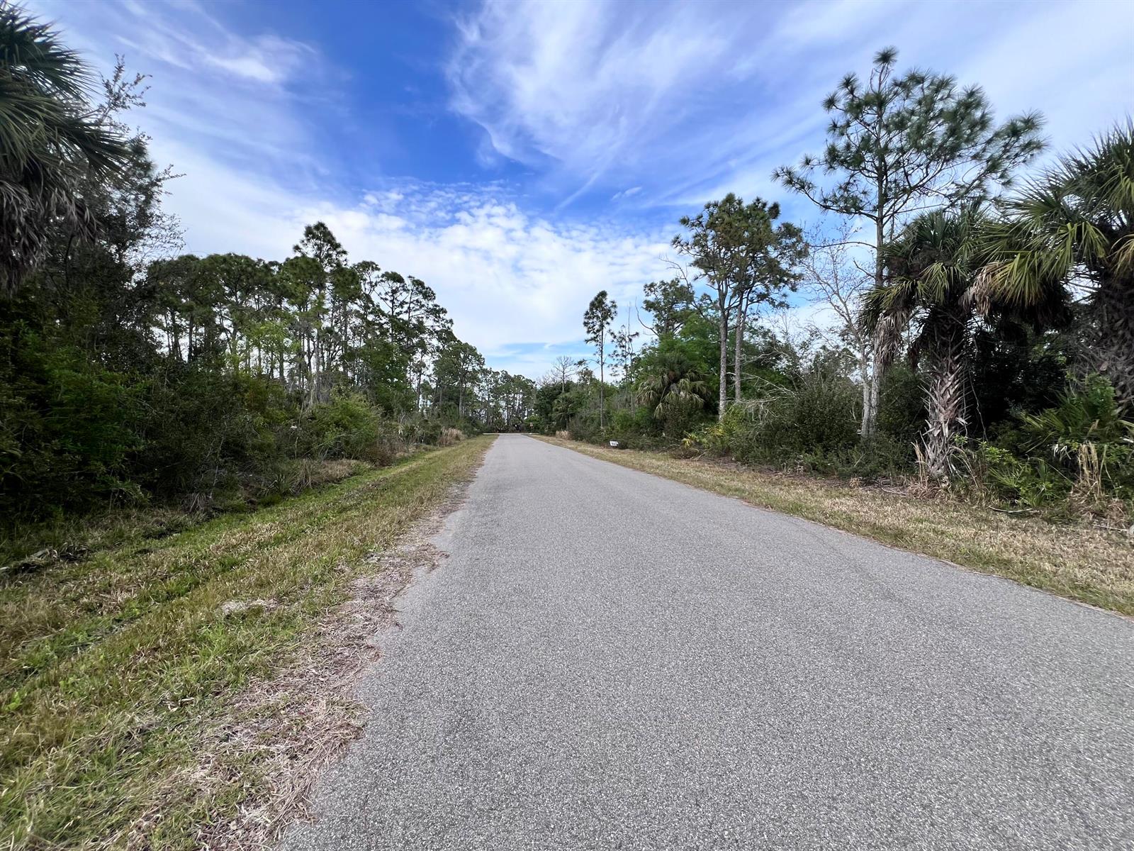 A paved road stretches through a wooded area under a blue sky with scattered clouds — 88 Mordecal Street, FL 33953, FL