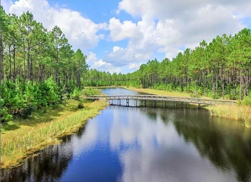 A wooden footbridge spans a narrow lake surrounded by a dense pine forest — CREEK PINES CIRCLE, WEWAHITCHKA, FL