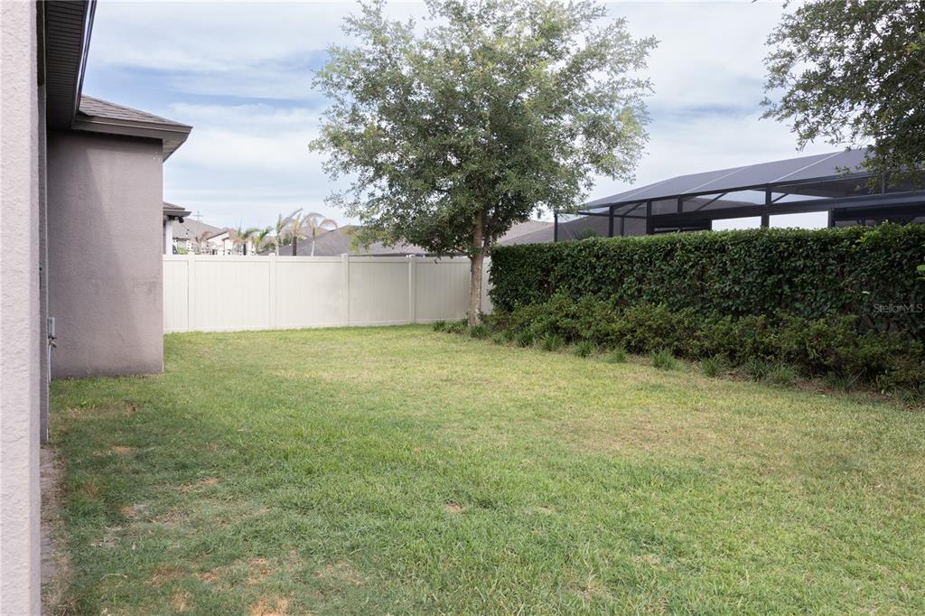 A grassy backyard features a white vinyl fence, a large tree, and a hedge — 2892 MATERA DRIVE, ST CLOUD, FL