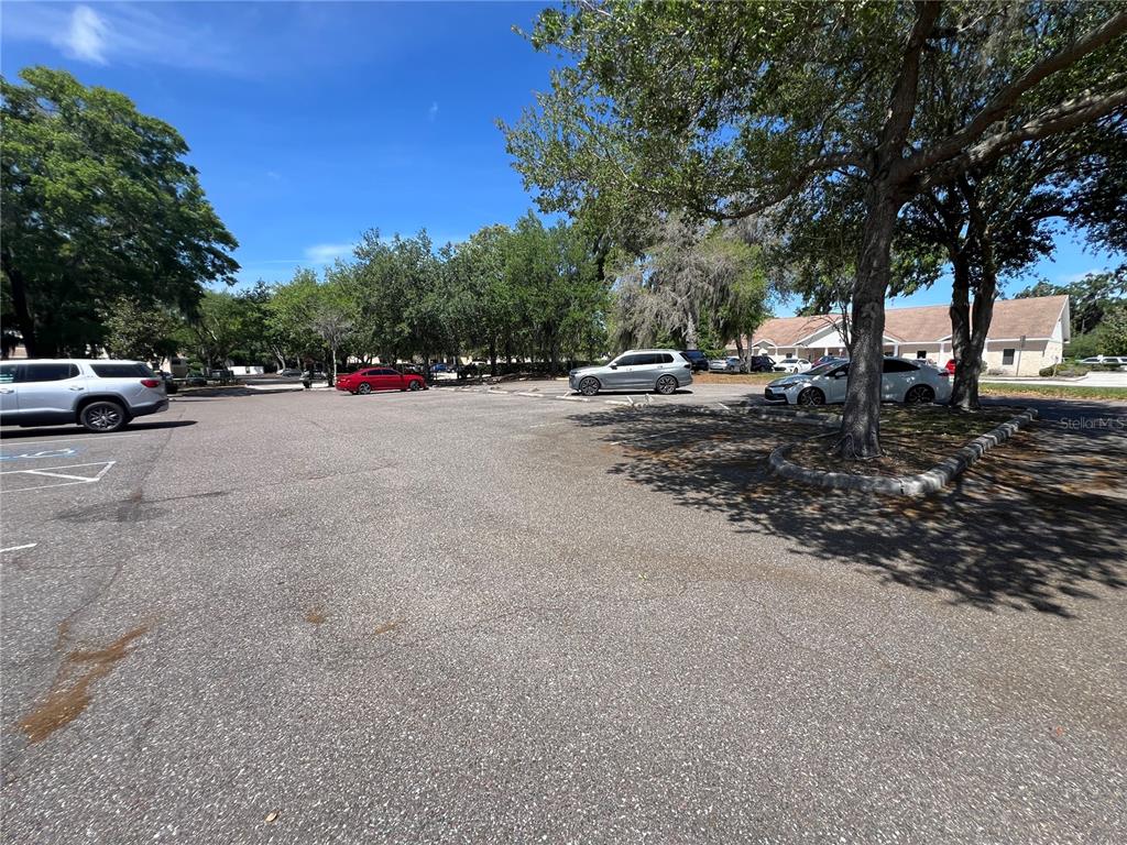 An outdoor parking lot with several parked cars surrounded by trees and a building — 533 MEDICAL OAKS AVENUE UNIT 3, BRANDON, FL