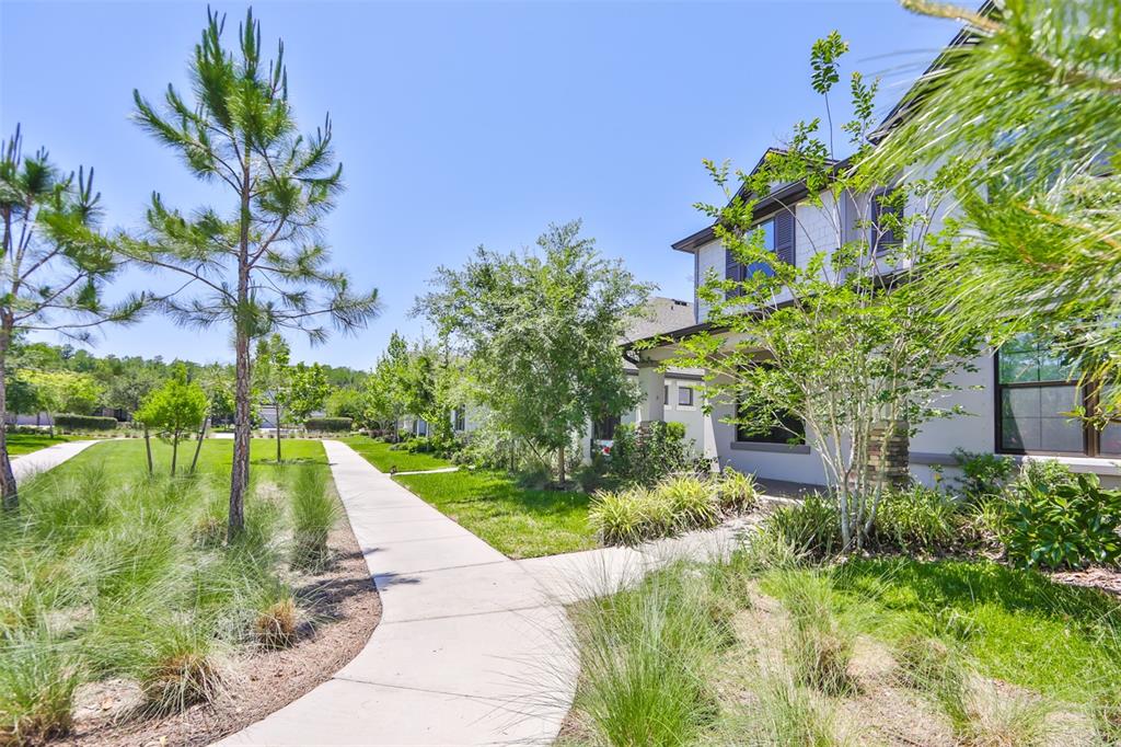 A concrete walkway leads past a grassy lawn toward the front entrance of a house — 3044 ABRAMS TRAIL, ODESSA, FL