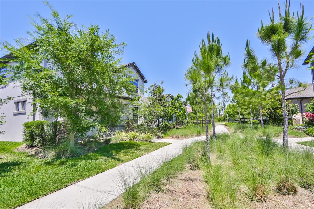 A sidewalk winds past a residential building and landscaping under a clear blue sky — 3044 ABRAMS TRAIL, ODESSA, FL