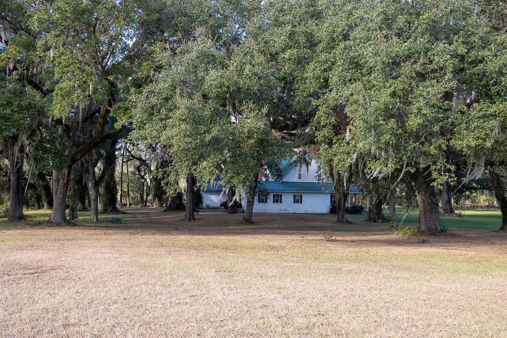993 CR 722, WEBSTER, FL — photo 3 of 30