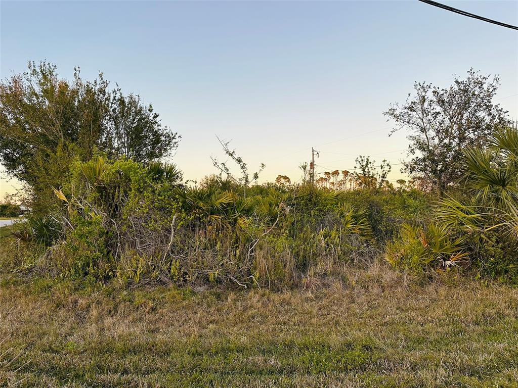 A vacant, overgrown lot with dense vegetation, palm trees, and a utility pole — 12204 ZITTLE AVENUE, PORT CHARLOTTE, FL