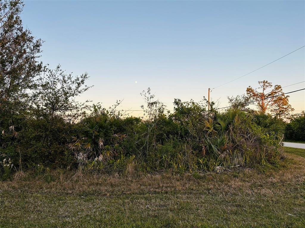 A vacant, overgrown lot with dense vegetation and palm trees under a clear sky — 12204 ZITTLE AVENUE, PORT CHARLOTTE, FL