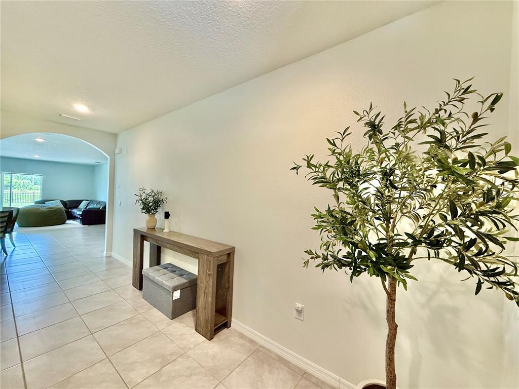 A hallway with tile flooring features a wooden console table and an artificial olive tree — 30807 PENNY SURF LOOP, WESLEY CHAPEL, FL