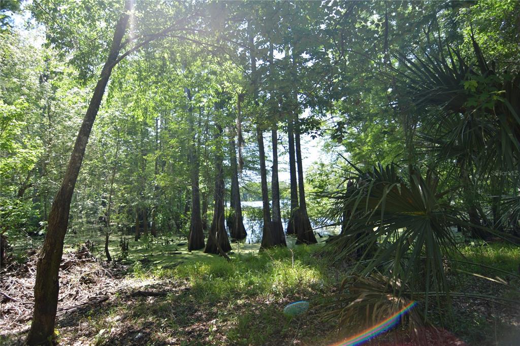 SW 64TH AVENUE, BUSHNELL, FL — photo 2 of 21