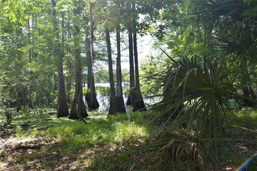 SW 64TH AVENUE, BUSHNELL, FL — photo 3 of 21