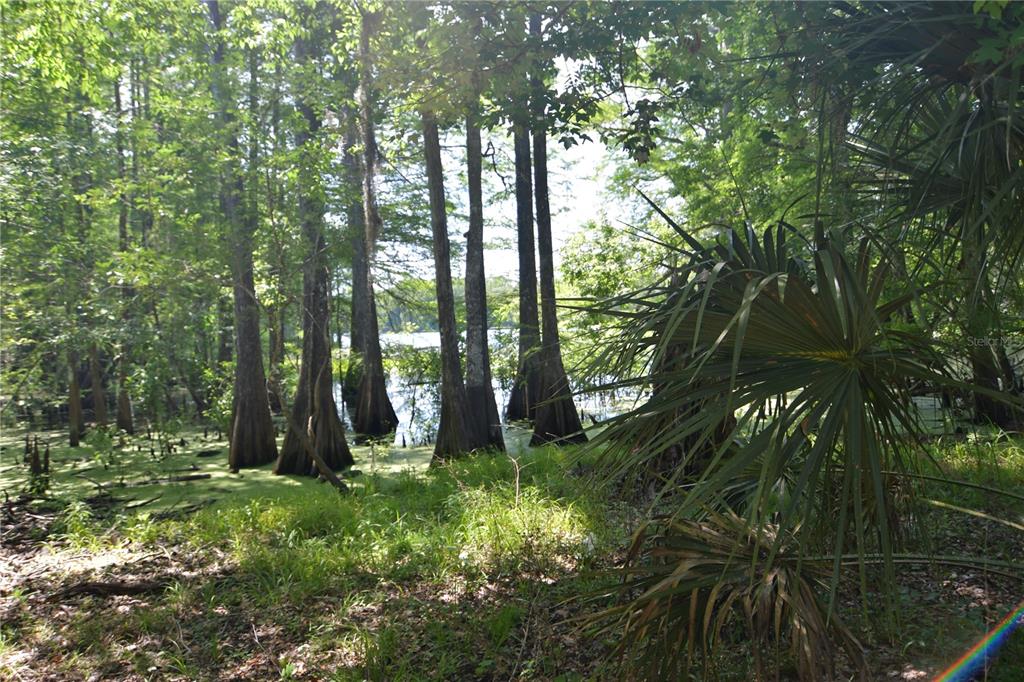 SW 64TH AVENUE, BUSHNELL, FL — photo 4 of 21