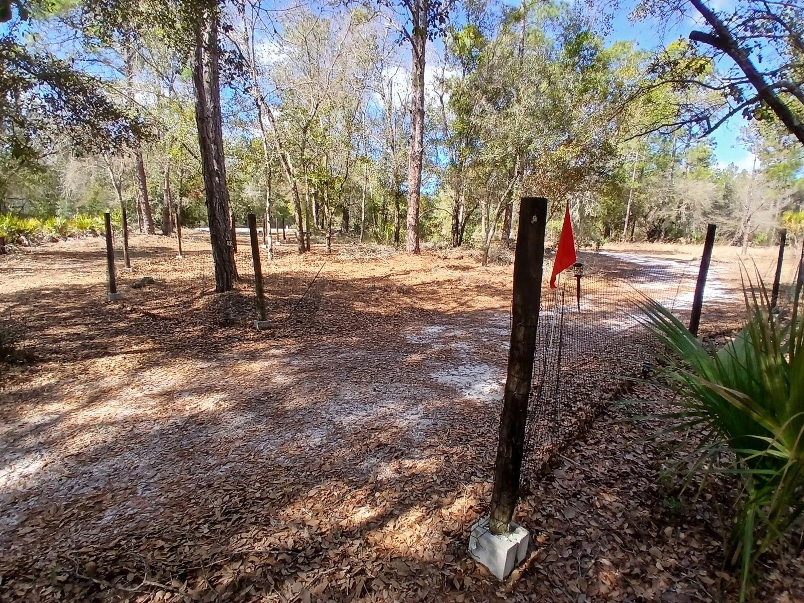 A wooded lot features a dirt driveway lined with wooden fence posts and a red flag — 11991 W Flaxen Drive, FL 34428, FL
