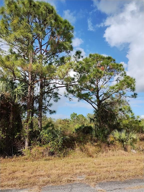 A view of tall pine trees and native vegetation on a vacant, grassy lot — PATRIOT CIRCLE, NORTH PORT, FL