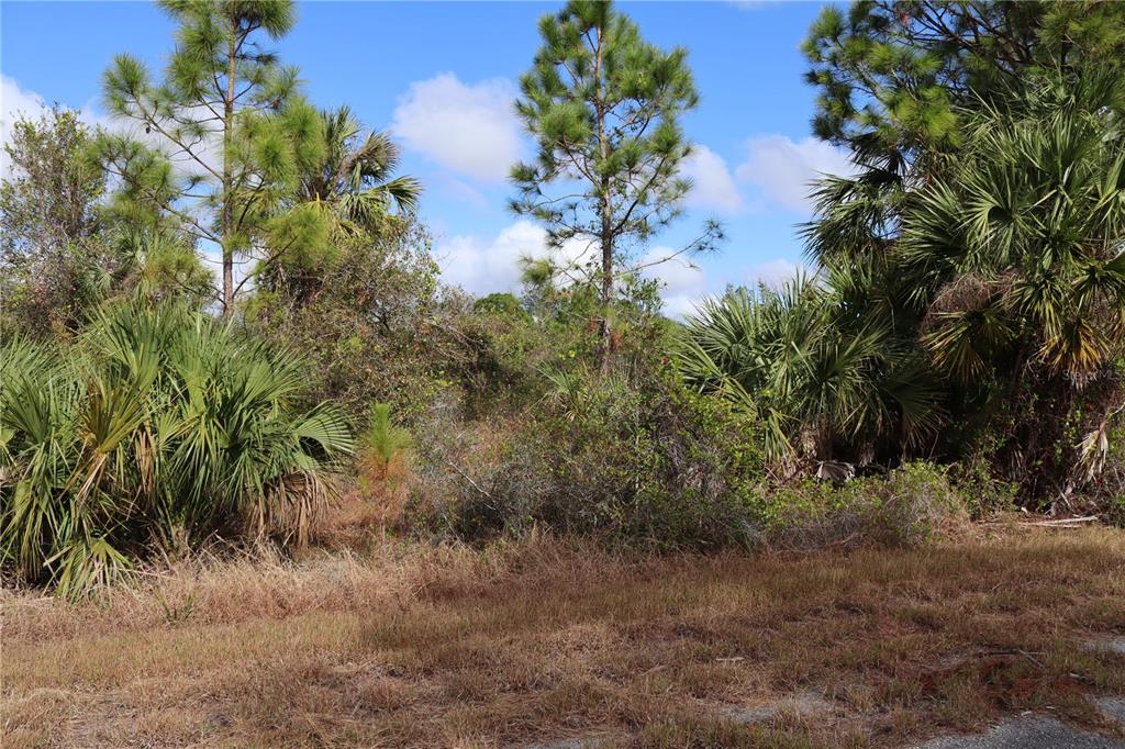 A wooded lot with pine trees and palmettos under a blue sky — PATRIOT CIRCLE, NORTH PORT, FL