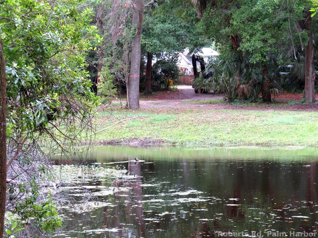 ROBERTS ROAD, PALM HARBOR, FL — photo 2 of 20