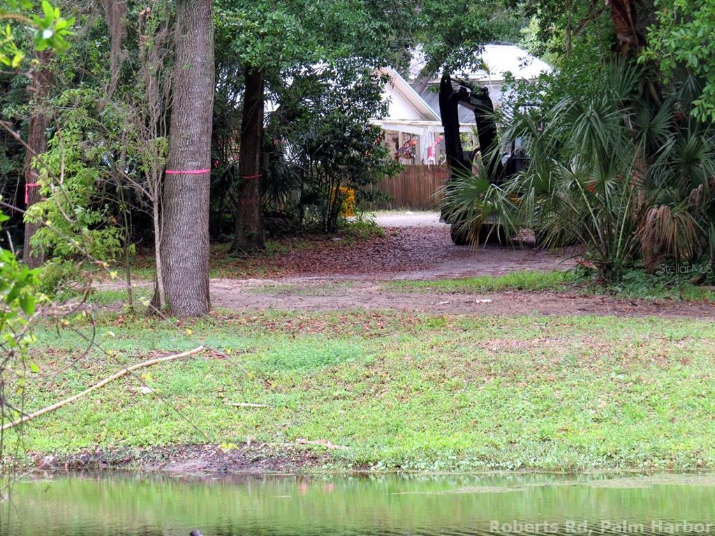 ROBERTS ROAD, PALM HARBOR, FL — photo 3 of 20