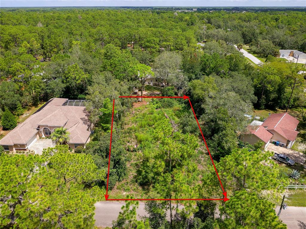 An aerial view shows a vacant, wooded residential lot outlined in red between two houses — 9041 HELENE WAY, WEEKI WACHEE, FL