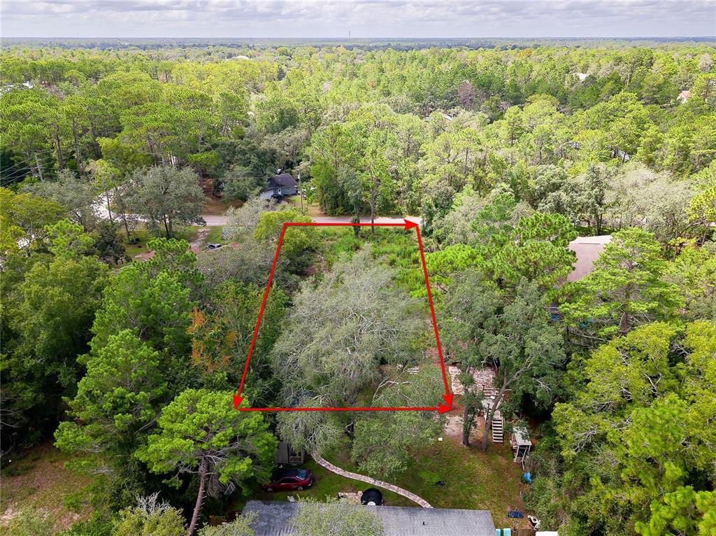 An aerial view shows a wooded residential lot outlined in red with a nearby house — 9041 HELENE WAY, WEEKI WACHEE, FL
