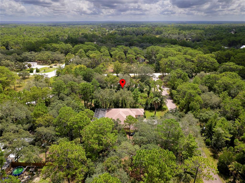 An aerial view shows a house with a screened pool enclosure surrounded by dense trees — 9041 HELENE WAY, WEEKI WACHEE, FL