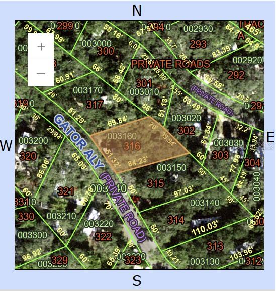 This is a property map showing parcel 316 highlighted in orange with surrounding lot lines — 316 ROAN (GATOR ALLEY) ROAD, RIVER RANCH, FL