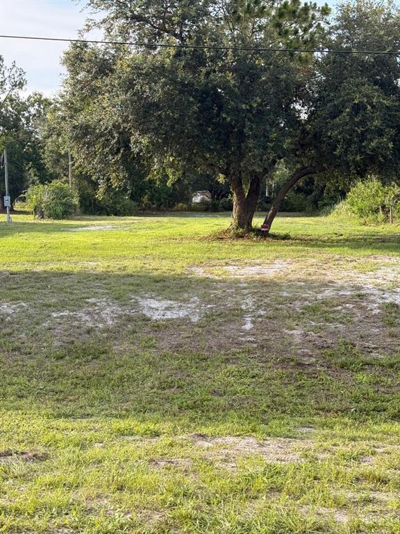 A large, grassy vacant lot features a prominent tree in the center under a blue sky — 1780 TUCKER LANE, NORTH FORT MYERS, FL