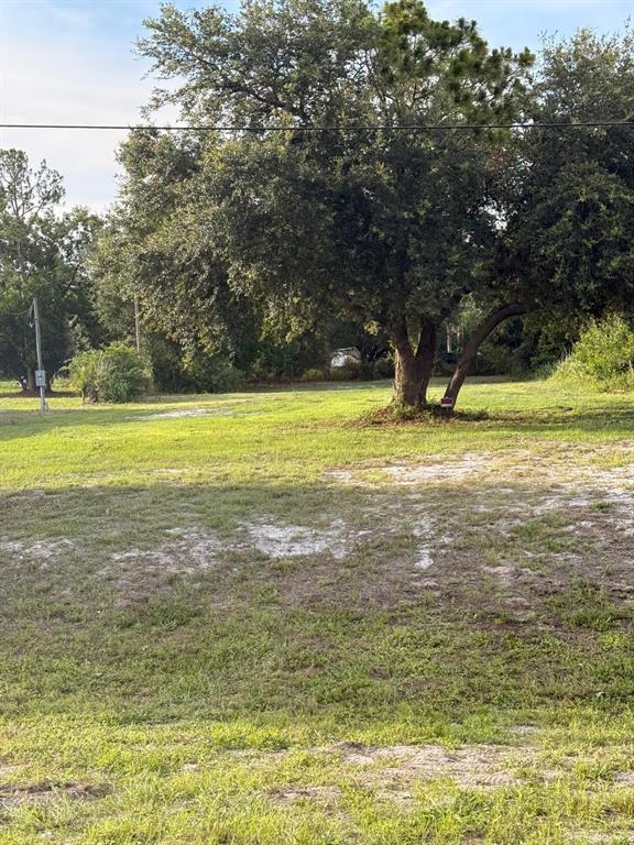 A large, mature tree stands in the center of a grassy, undeveloped residential lot — 1780 TUCKER LANE, NORTH FORT MYERS, FL