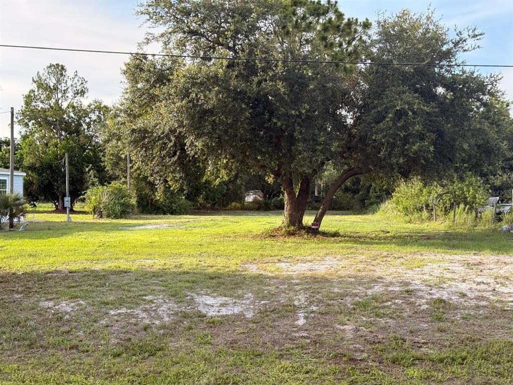 A large, mature tree stands in the center of a grassy, partially cleared vacant lot — 1780 TUCKER LANE, NORTH FORT MYERS, FL