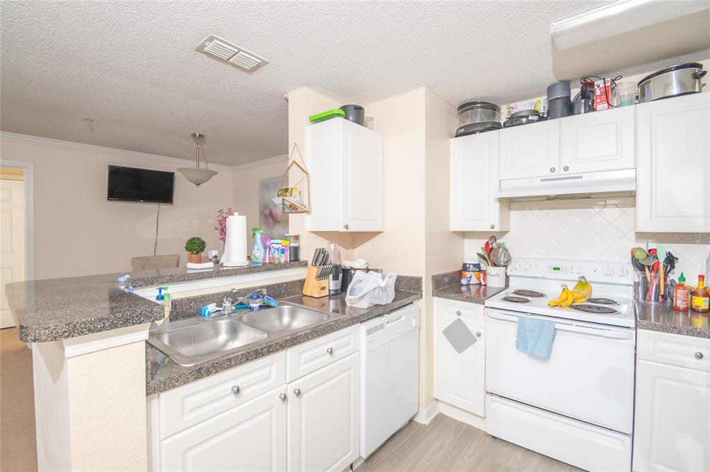A kitchen with white cabinets, granite countertops, a double sink, and white appliances — 18001 RICHMOND PLACE DRIVE UNIT 735, TAMPA, FL