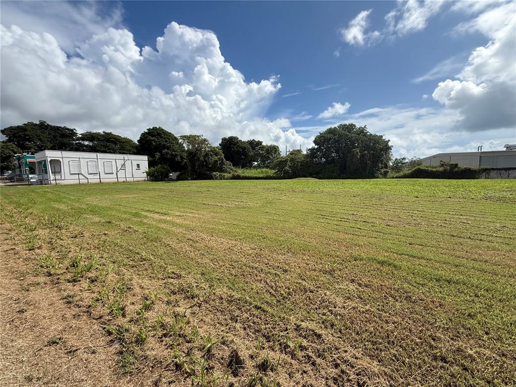 A wide, grassy vacant lot sits under a bright blue sky with large clouds — CUATRO CALLES ARROYO AVENUE, ARROYO, PR
