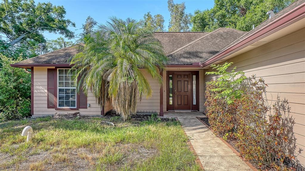 A single-story house with tan siding, a brown roof, and a palm tree in front — 2452 ASHTON ROAD, SARASOTA, FL