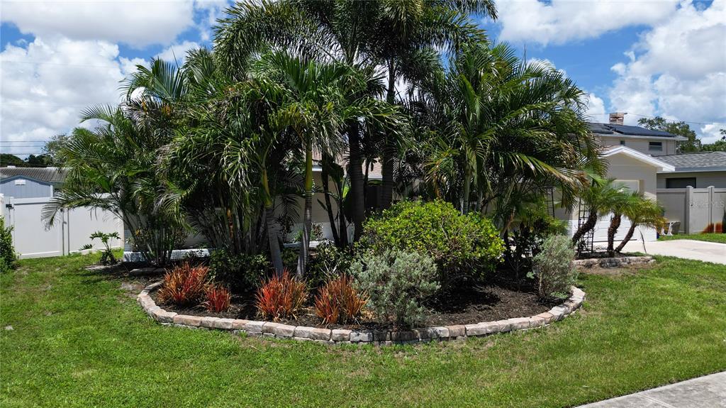 A landscaped garden with palm trees and shrubs sits in front of a suburban house — 6065 23RD AVENUE N, ST PETERSBURG, FL