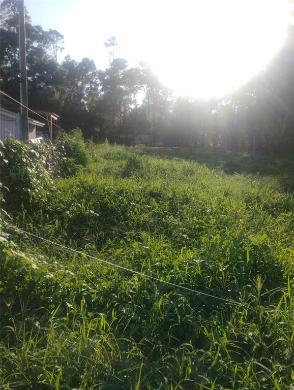 A grassy, undeveloped lot is surrounded by trees with a small building in the distance — 587 MARSHBURN DRIVE, BRONSON, FL