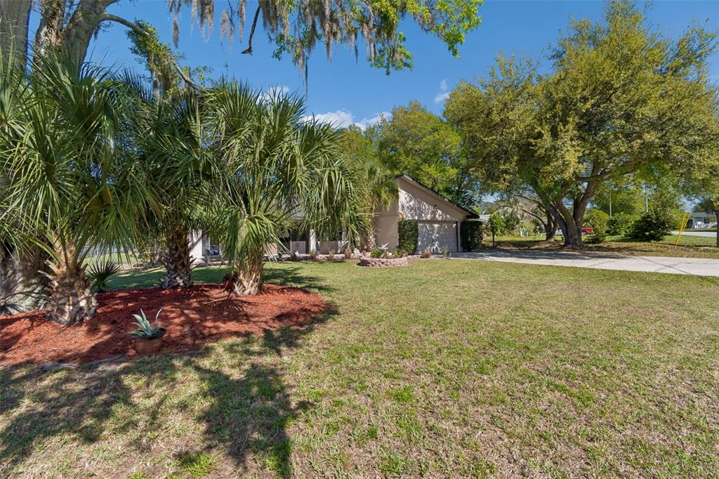 A single-story house with a garage sits behind a lawn with palm trees — 5059 BERNADETTE DRIVE, ZEPHYRHILLS, FL