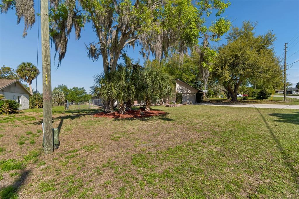 A grassy front yard features large oak trees with Spanish moss and a residential house — 5059 BERNADETTE DRIVE, ZEPHYRHILLS, FL