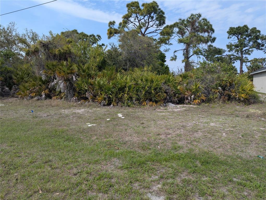 A grassy, undeveloped lot features dense native vegetation and several tall pine trees — 516 SUNSET ROAD N, ROTONDA WEST, FL