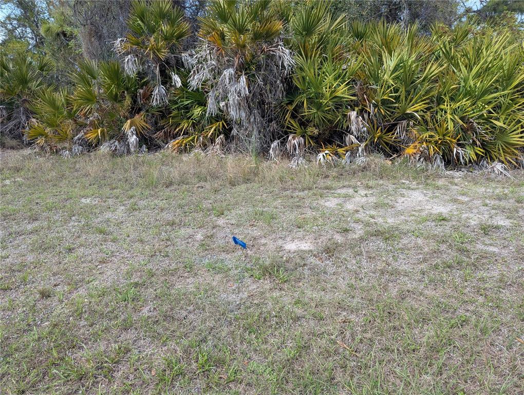 A blue survey marker sits in a grassy lot in front of dense palm vegetation — 516 SUNSET ROAD N, ROTONDA WEST, FL