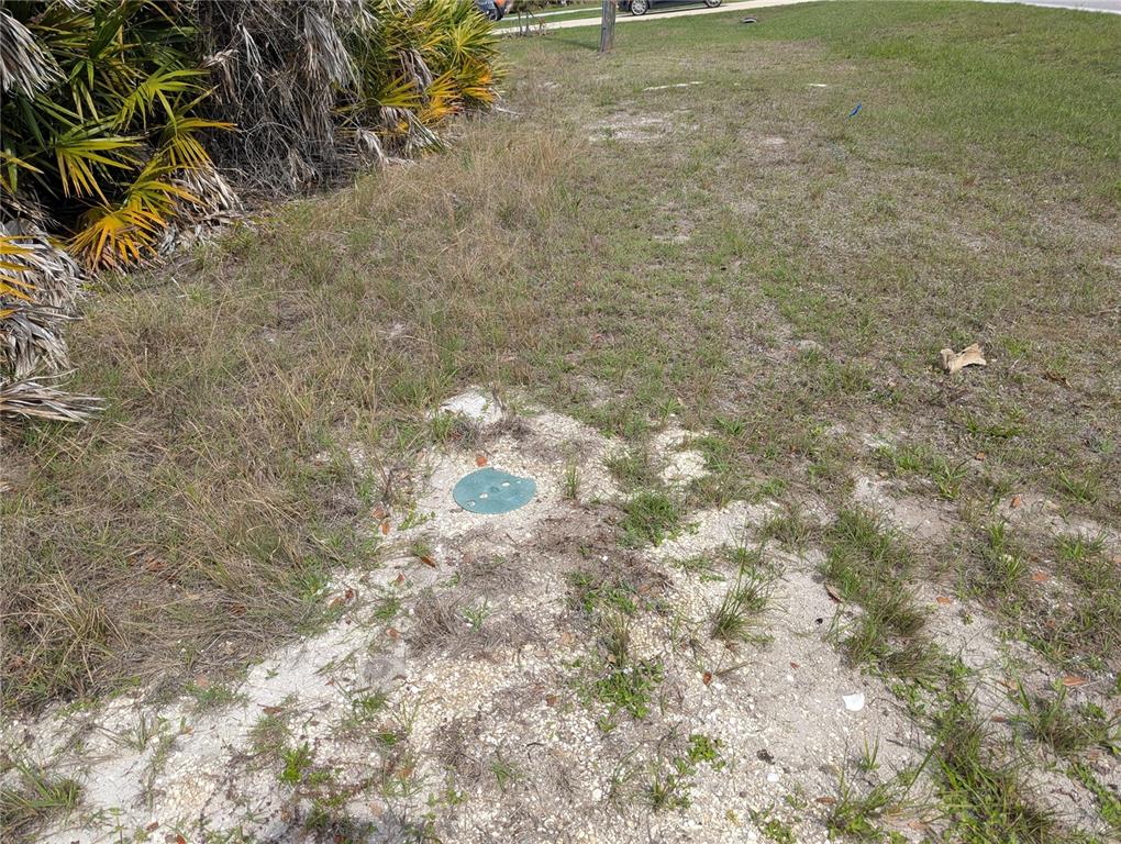 A green utility access cover sits in a sandy, grassy area near some palm fronds — 516 SUNSET ROAD N, ROTONDA WEST, FL