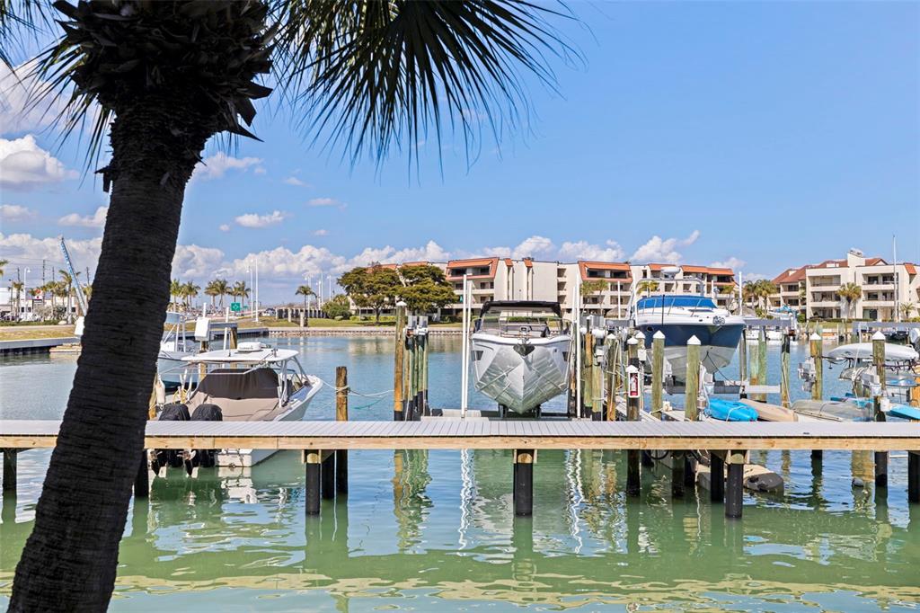 A palm tree stands in the foreground overlooking a marina with several boats docked — 117 YACHT CLUB LANE, TIERRA VERDE, FL