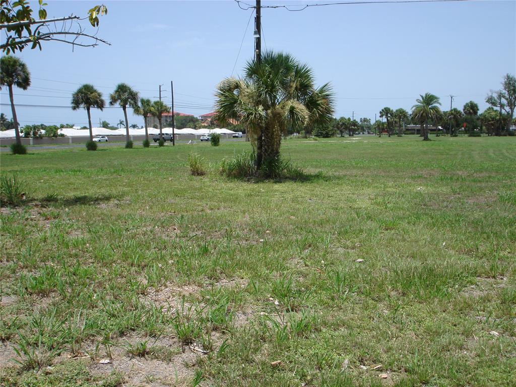A large, grassy vacant lot features scattered palm trees and a utility pole under blue skies — 2301 S TAMIAMI TRAIL, OSPREY, FL