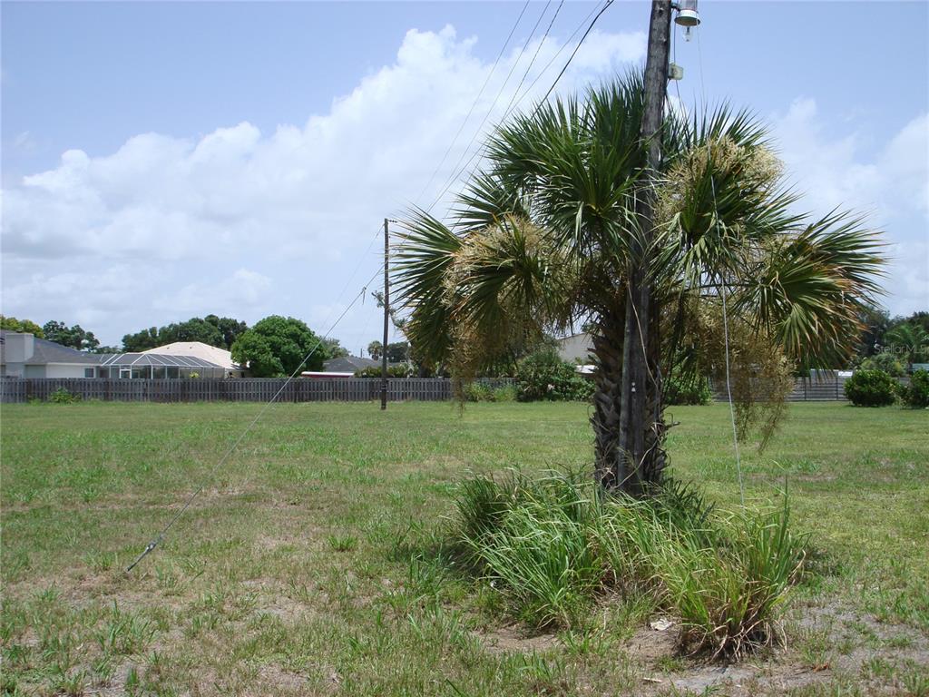 A palm tree stands in a grassy lot with utility poles and a wooden fence — 2301 S TAMIAMI TRAIL, OSPREY, FL