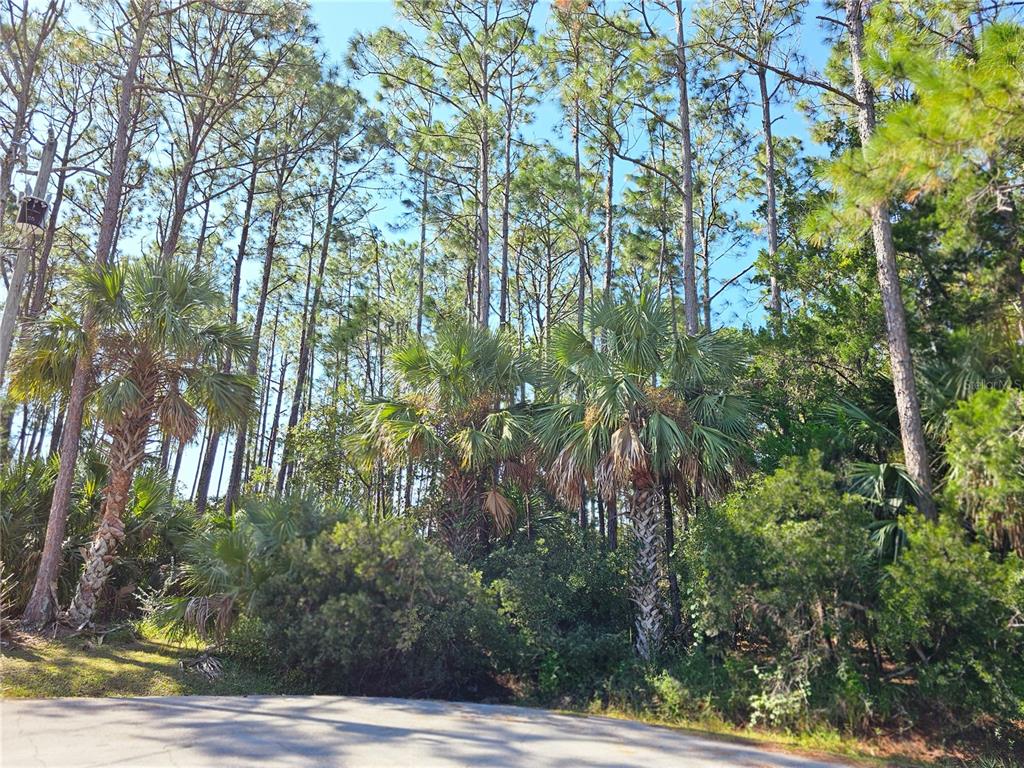 12 RAMSGATE PLACE, PALM COAST, FL — photo 2 of 2