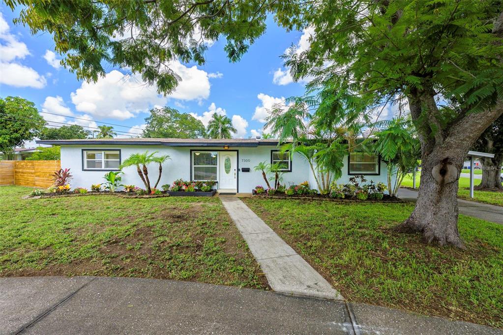 A single-story house with a white exterior, a front walkway, and mature trees in the yard — 7300 10TH STREET N, ST PETERSBURG, FL