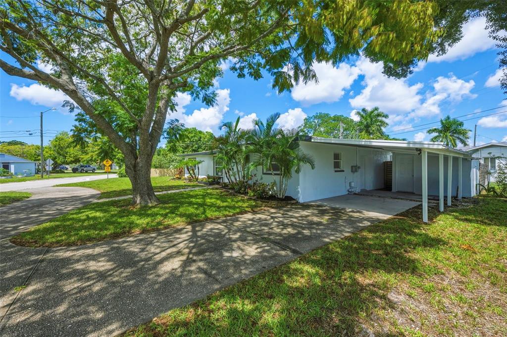 A white single-story house features a concrete driveway, a carport, and a large shade tree — 7300 10TH STREET N, ST PETERSBURG, FL