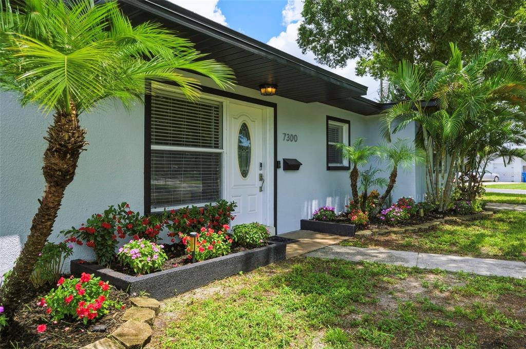 The exterior of a light blue house features a white front door and palm trees — 7300 10TH STREET N, ST PETERSBURG, FL