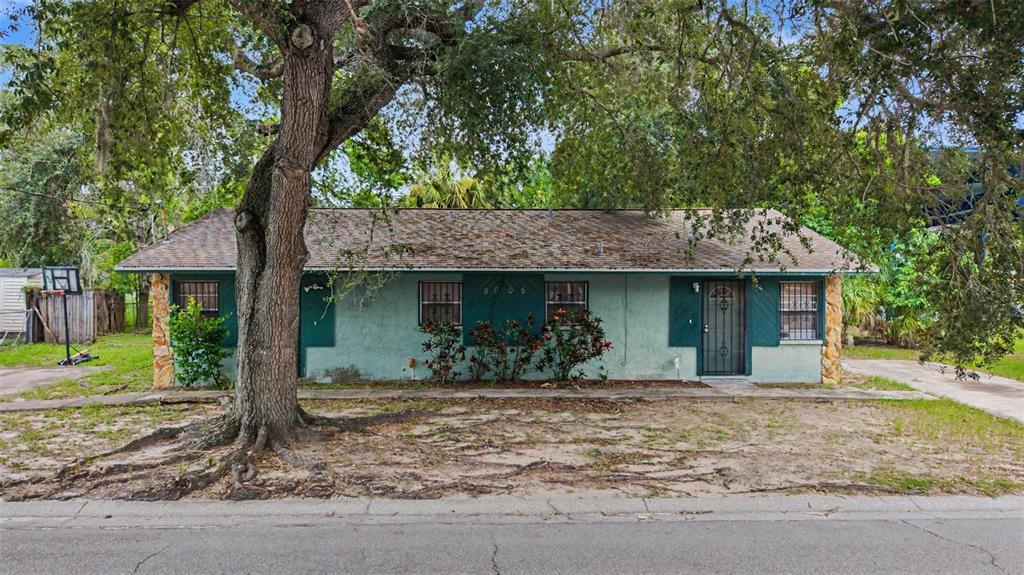 A single-story house with a green stucco exterior and a large tree in the front yard — 8605 N 12TH STREET, TAMPA, FL