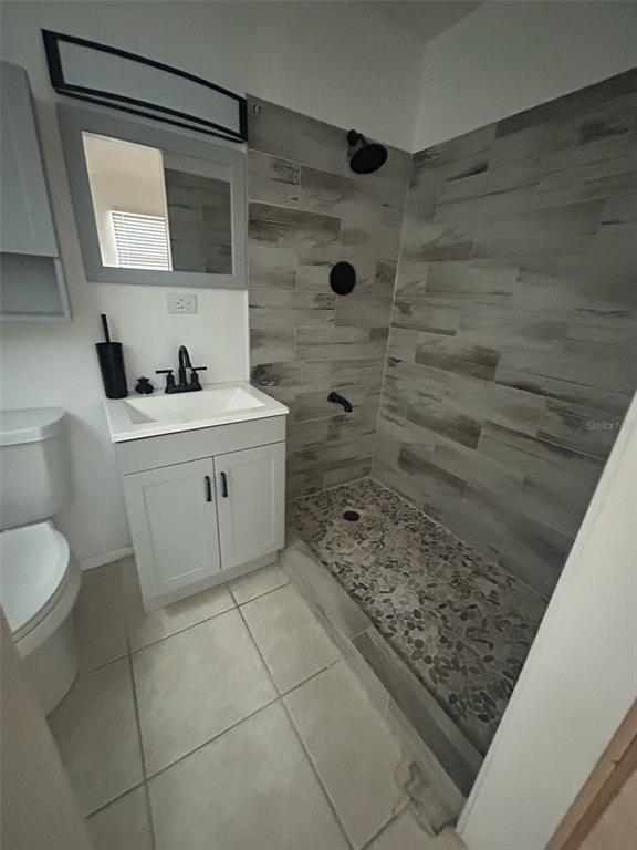 A bathroom features a white vanity, a toilet, and a walk-in shower with pebble flooring — 809 PLUMOSA AVENUE, FRUITLAND PARK, FL