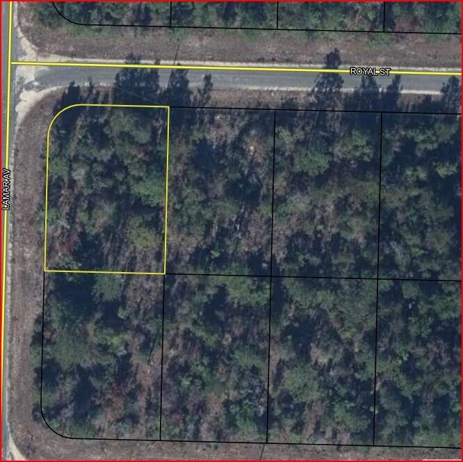 This is an aerial map view of a corner residential lot with surrounding wooded land — 0 Royal Street, FL 32428, FL