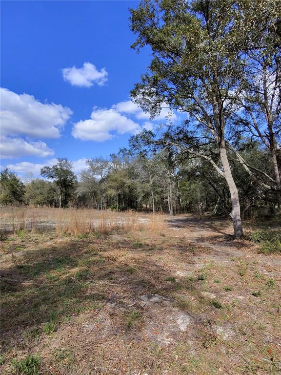 TBD NE 96TH STREET, ARCHER, FL — photo 2 of 9