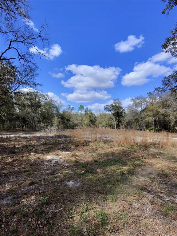 TBD NE 96TH STREET, ARCHER, FL — photo 3 of 9