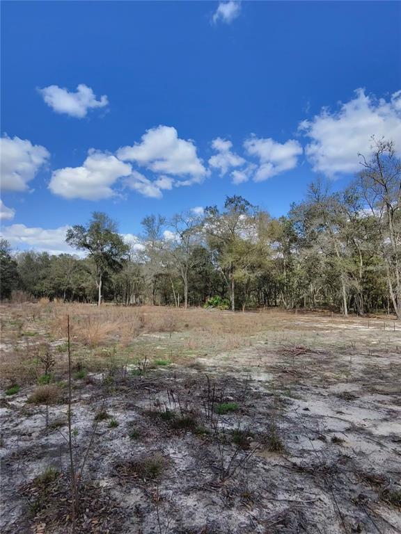 TBD NE 96TH STREET, ARCHER, FL — photo 4 of 9