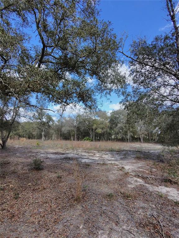 TBD NE 96TH STREET, ARCHER, FL — photo 5 of 9